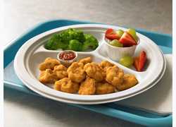 PERDUE® SNACK-ATIZERS® NO ANTIBIOTICS EVER, Fully Cooked, Whole Grain Breaded Chicken Breast Chunks, CN…<br/>(10023077)